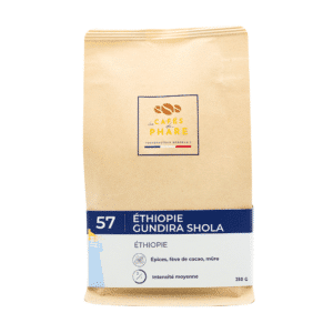 57 Éthiopie gundira shola