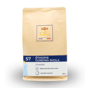 57 Éthiopie gundira shola