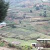 46 - RWANDA GATARE – Image 4