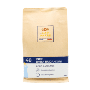 48 inde baba budangiri