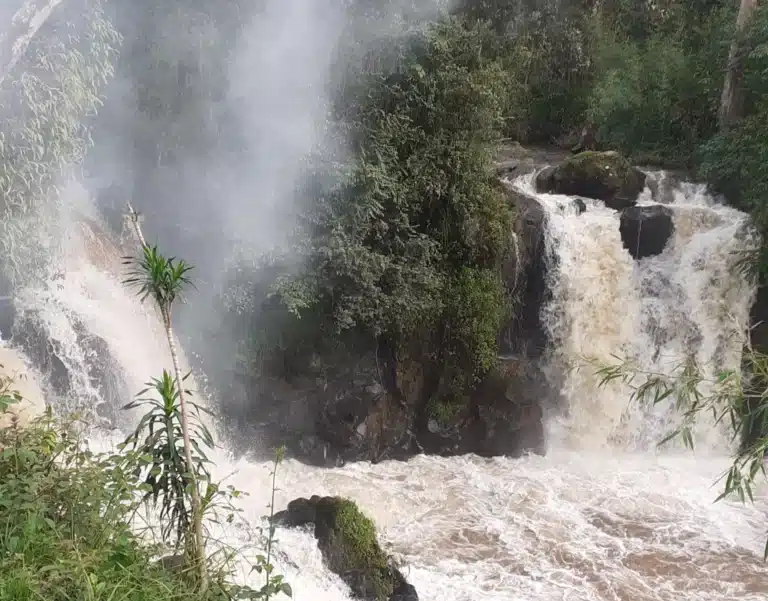 sidama